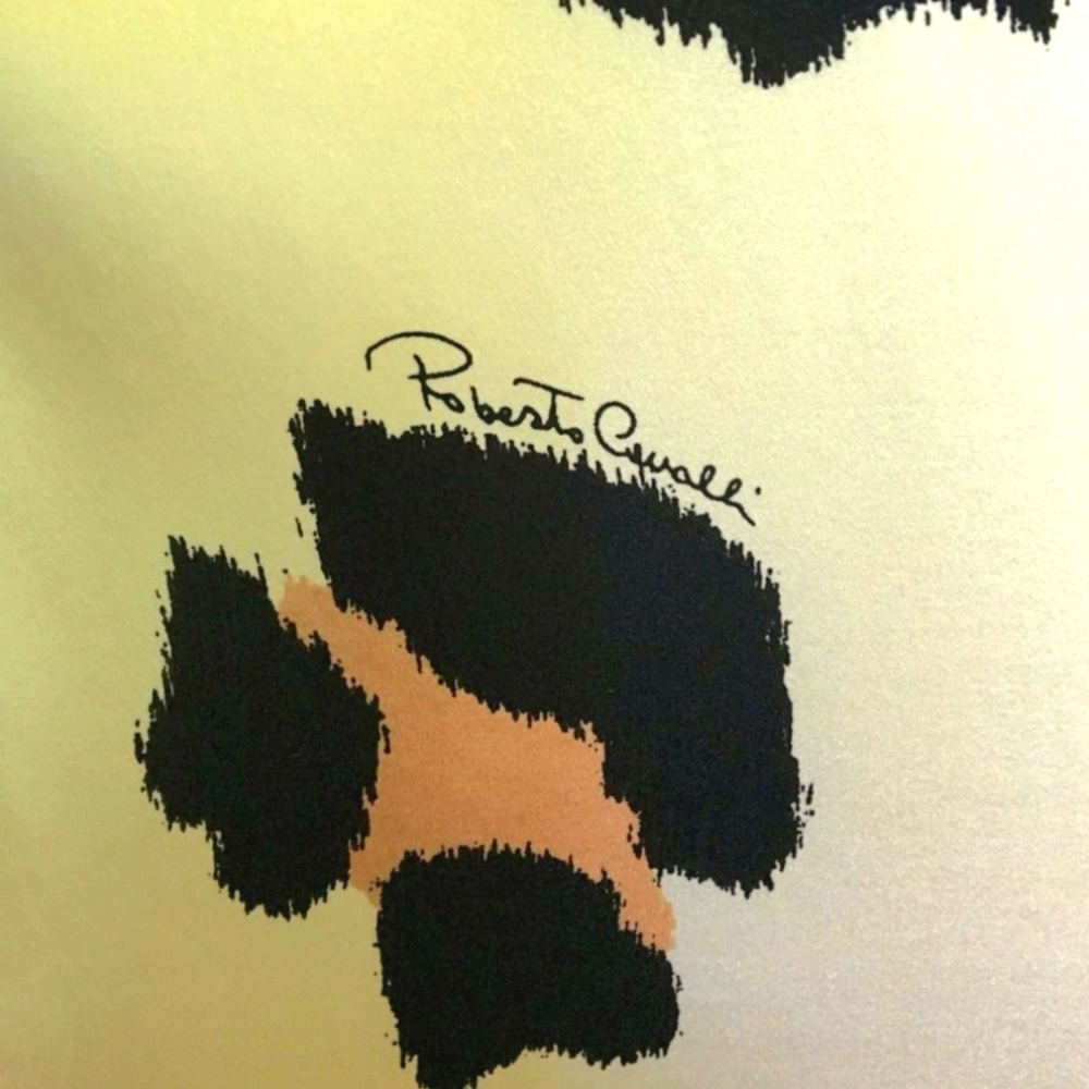 Roberto Cavalli Leopard Dress - Picture 7 of 11